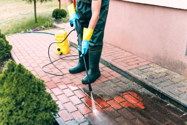 Professional Pressure Washing in Wilkesboro, NC